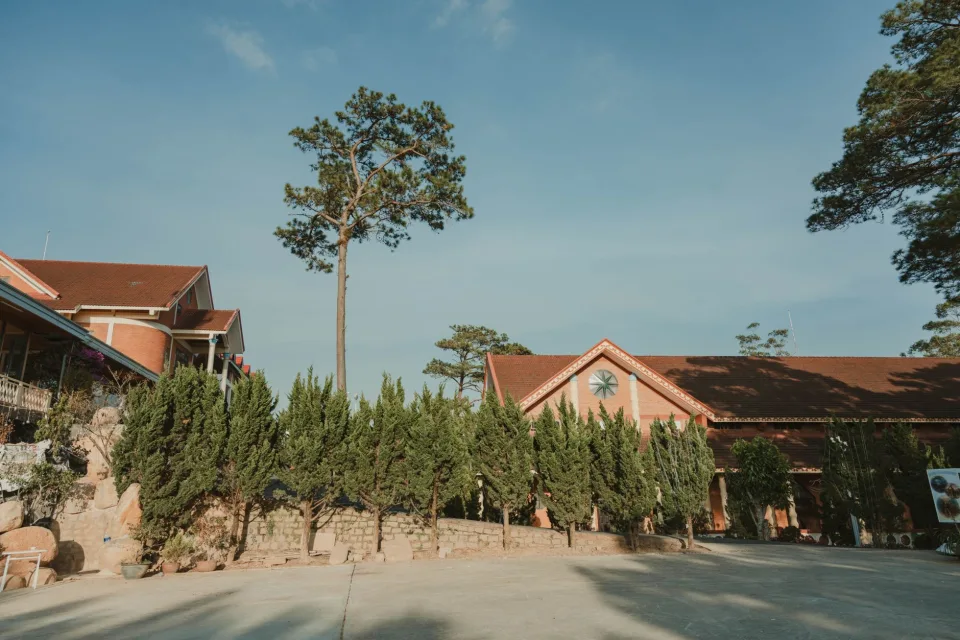 Hình ảnh tại Nguyễn Thanh Tùng 5